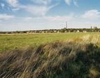 Blick vom Feld auf den Hasenbürener Deich