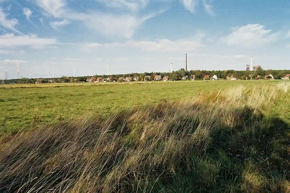 Blick vom Feld auf den Hasenb&uuml;rener Deich