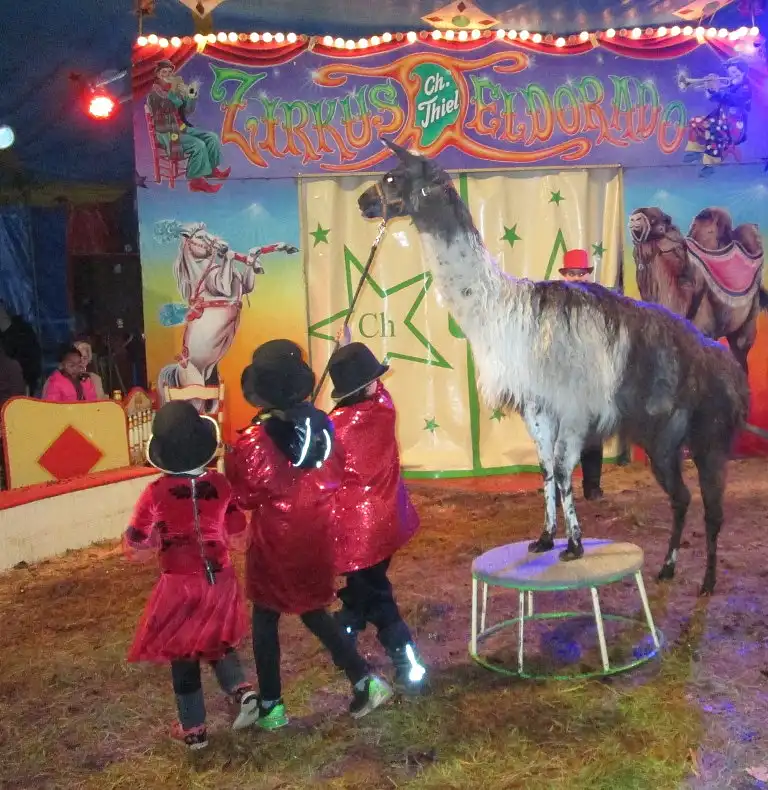 drei Kinder f&uuml;hren das Lama