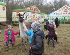Kinder mit Lamas und Ziegen