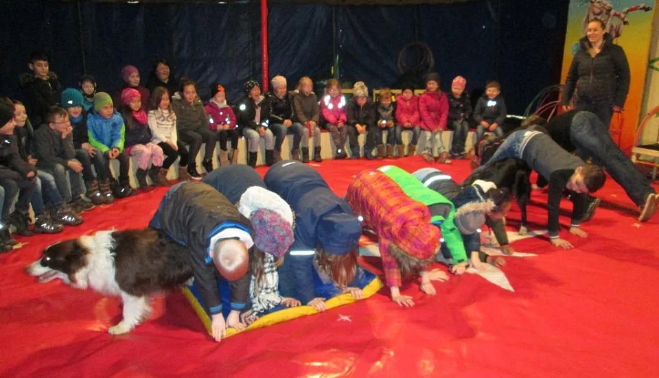 Probe f&uuml;r die Hunde-Nummer