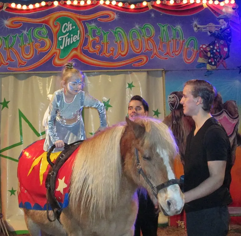 Ein M&auml;dchen voltigiert auf dem Pferd