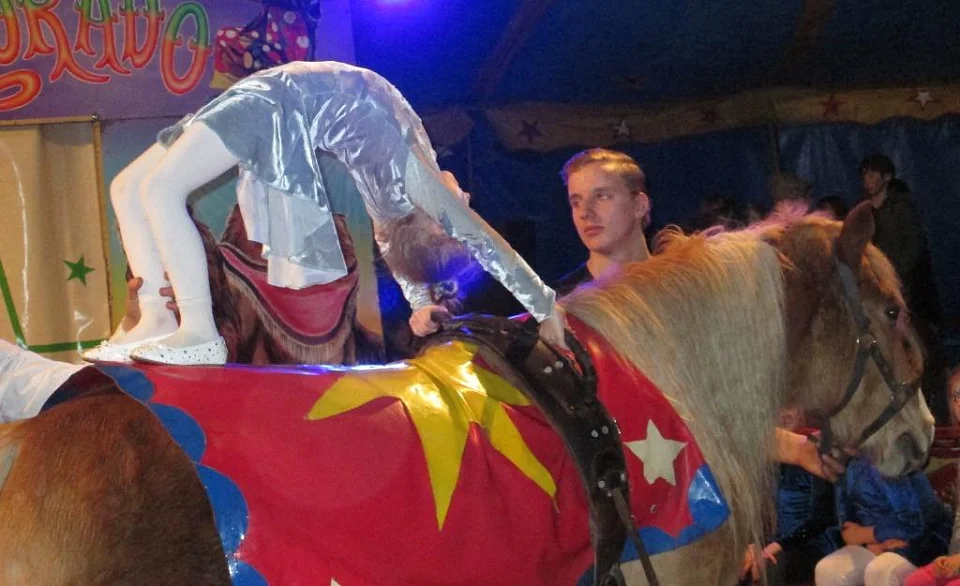 Ein M&auml;dchen macht eine Br&uuml;cke auf dem Pferd